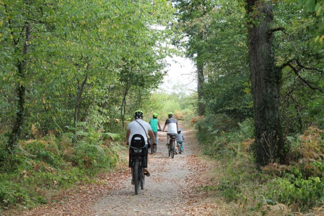 Famille se baladant dans la forêt à vélo