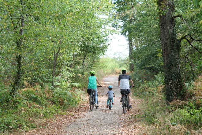 Une famille se balade à vélo dans le forêt