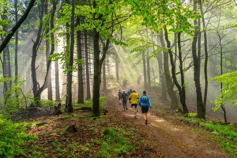 Groupe de personnes qui court dans la nature