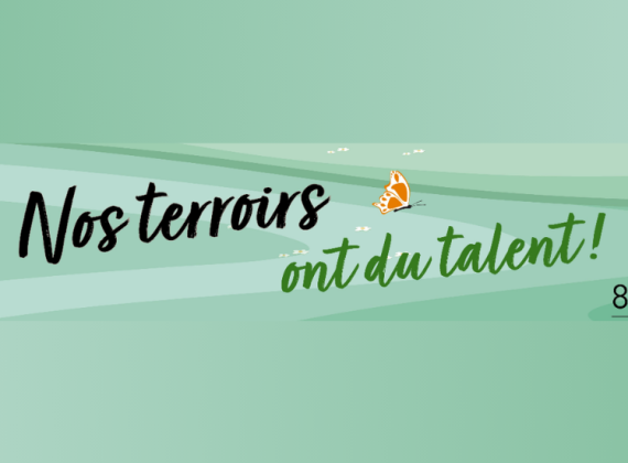 Design sans titre