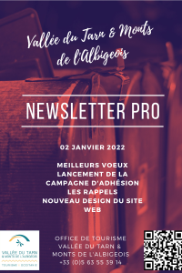 Newsletter pro site web (2)