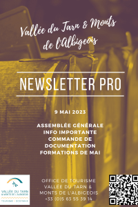 Newsletter pro site web (2)