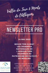 Newsletter pro site web (3)