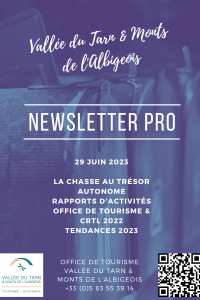 Newsletter pro site web (4)